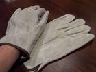 Rental store for GLOVE, GREY LEATHER RANCHER in Blue Springs MO